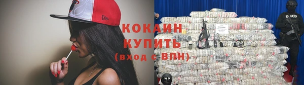 дживик Навашино
