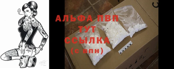 эйфоретик Надым