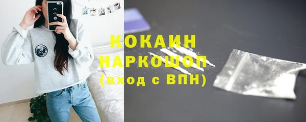 дживик Навашино
