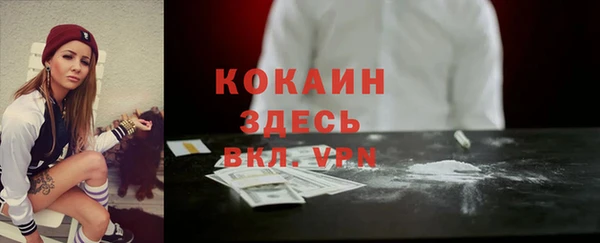 дживик Навашино