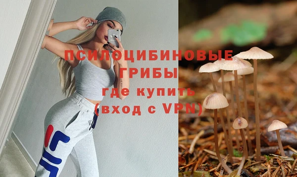 эйфоретик Надым