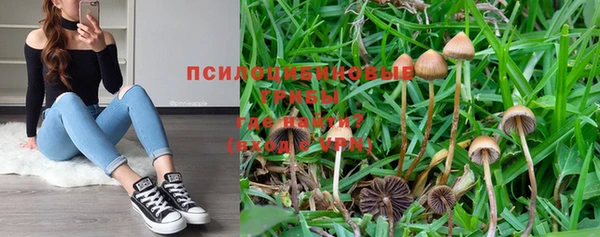 дживик Навашино